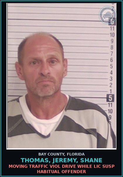 CCW arrest card for THOMAS, JEREMY, SHANE in Bay County: MOVING TRAFFIC VIOL DRIVE WHILE LIC SUSP HABITUAL OFFENDER
