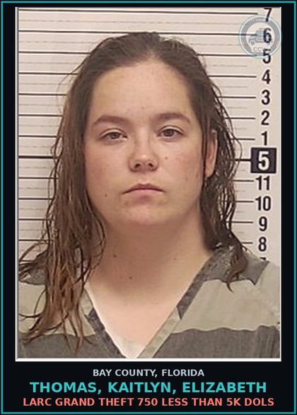 CCW arrest card for THOMAS, KAITLYN, ELIZABETH in Bay County: LARC GRAND THEFT 750 LESS THAN 5K DOLS