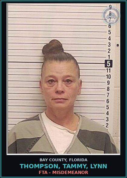 CCW arrest card for THOMPSON, TAMMY, LYNN in Bay County: FTA - MISDEMEANOR