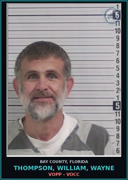 CCW arrest card for THOMPSON, WILLIAM, WAYNE in Bay County: VOPP - VOCC