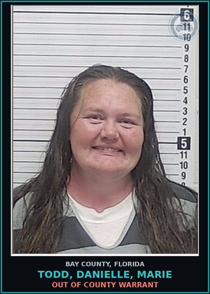 CCW arrest card for TODD, DANIELLE, MARIE in Bay County: OUT OF COUNTY WARRANT