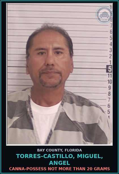 CCW arrest card for TORRES-CASTILLO, MIGUEL, ANGEL in Bay County: Canna-POSSESS NOT MORE THAN 20 GRAMS