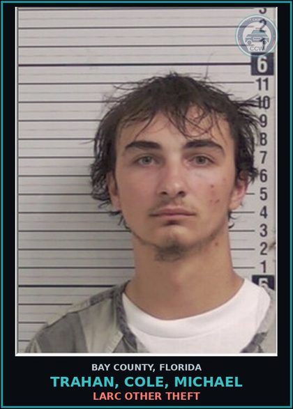 CCW arrest card for TRAHAN, COLE, MICHAEL in Bay County: LARC OTHER THEFT