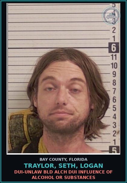 CCW arrest card for TRAYLOR, SETH, LOGAN in Bay County: DRUGS-POSSESS CNTRL SUB WO PRESCRIPTION