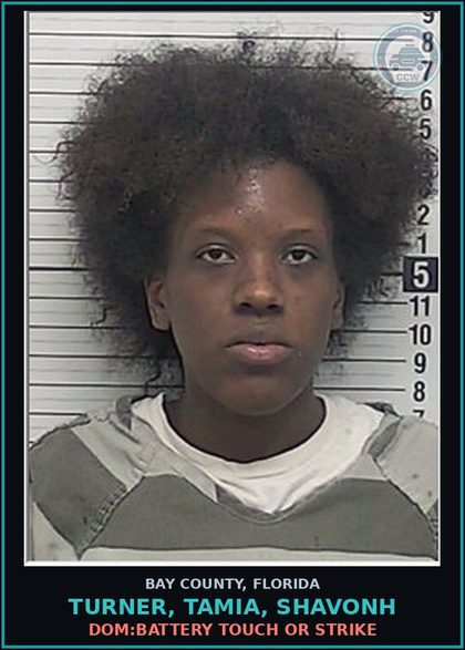 CCW arrest card for TURNER, TAMIA, SHAVONH in Bay County: DOM:BATTERY TOUCH OR STRIKE