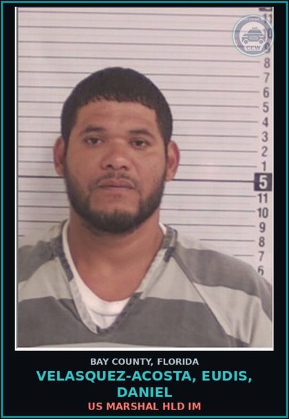 CCW arrest card for VELASQUEZ-ACOSTA, EUDIS, DANIEL in Bay County: US MARSHAL HLD IM