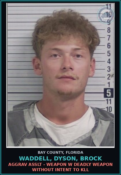 CCW arrest card for WADDELL, DYSON, BROCK in Bay County: AGGRAV ASSLT - WEAPON W DEADLY WEAPON WITHOUT INTENT TO KILL
