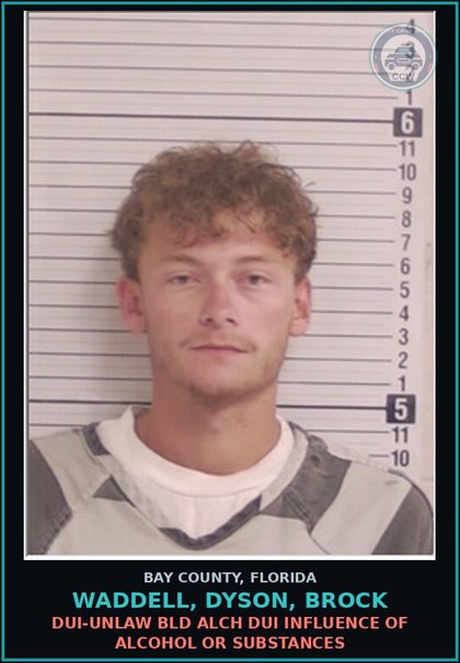CCW arrest card for WADDELL, DYSON, BROCK in Bay County: DUI-UNLAW BLD ALCH DUI INFLUENCE OF ALCOHOL OR DRUGS