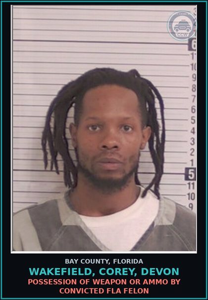 CCW arrest card for WAKEFIELD, COREY, DEVON in Bay County: Canna-POSSESS NOT MORE THAN 20 GRAMS