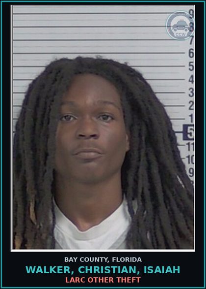 CCW arrest card for WALKER, CHRISTIAN, ISAIAH in Bay County: LARC OTHER THEFT