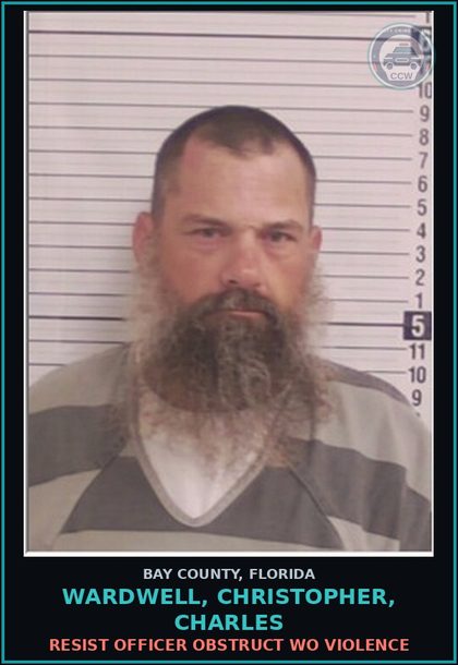 CCW arrest card for WARDWELL, CHRISTOPHER, CHARLES in Bay County: RESIST OFFICER OBSTRUCT WO VIOLENCE