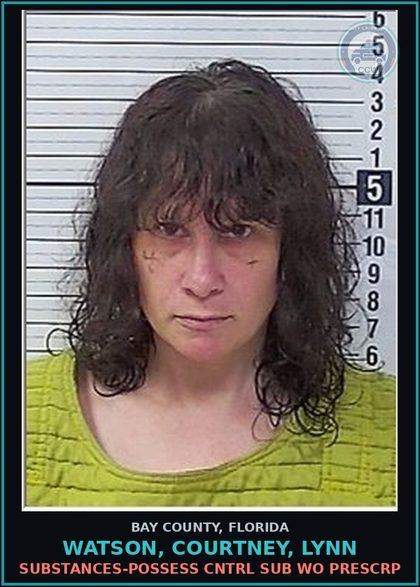 CCW arrest card for WATSON, COURTNEY, LYNN in Bay County: DRUGS-POSSESS CNTRL SUB WO PRESCRIPTION
