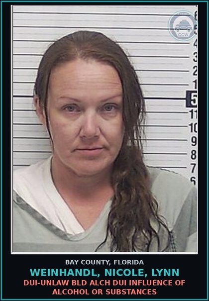 CCW arrest card for WEINHANDL, NICOLE, LYNN in Bay County: DUI-UNLAW BLD ALCH DUI INFLUENCE OF ALCOHOL OR DRUGS