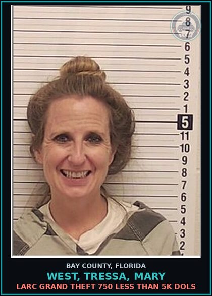 CCW arrest card for WEST, TRESSA, MARY in Bay County: LARC GRAND THEFT 750 LESS THAN 5K DOLS