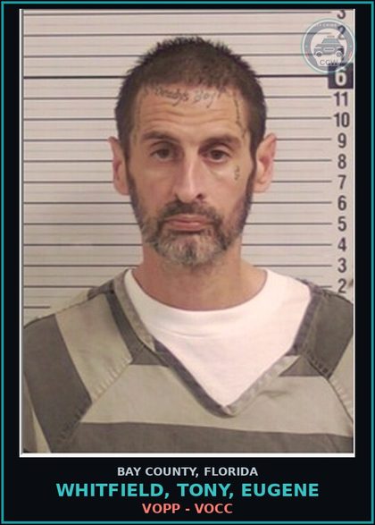 CCW arrest card for WHITFIELD, TONY, EUGENE in Bay County: VOPP - VOCC