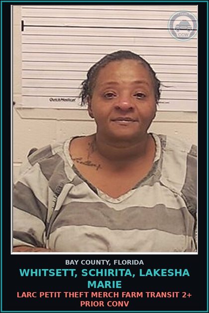 CCW arrest card for WHITSETT, SCHIRITA, LAKESHA MARIE in Bay County: LARC PETIT THEFT MERCH FARM TRANSIT 2+ PRIOR CONV