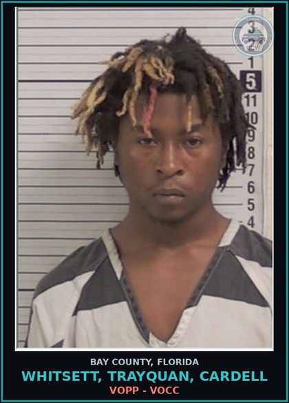 CCW arrest card for WHITSETT, TRAYQUAN, CARDELL in Bay County: VOPP - VOCC