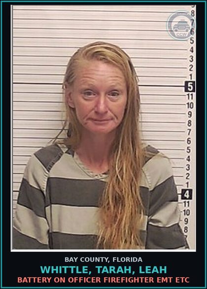 CCW arrest card for WHITTLE, TARAH, LEAH in Bay County: BATTERY ON OFFICER FIREFIGHTER EMT ETC