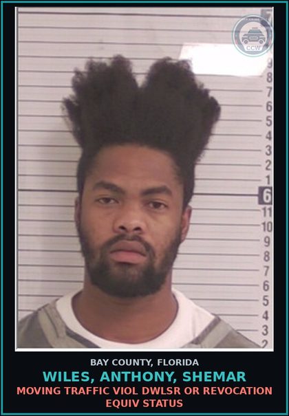 CCW arrest card for WILES, ANTHONY, SHEMAR in Bay County: MOVING TRAFFIC VIOL DWLSR OR REVOCATION EQUIV STATUS