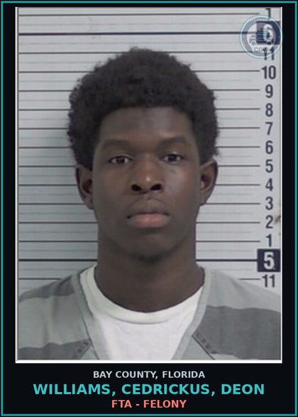 CCW arrest card for WILLIAMS, CEDRICKUS, DEON in Bay County: FTA - FELONY