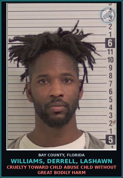 CCW arrest card for WILLIAMS, DERRELL, LASHAWN in Bay County: CRUELTY TOWARD chld ABUSE chld WITHOUT GREAT BODILY HARM