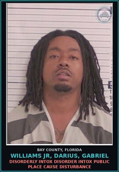 CCW arrest card for WILLIAMS JR, DARIUS, GABRIEL in Bay County: DISORDERLY INTOX DISORDER INTOX PUBLIC PLACE CAUSE DISTURBANCE