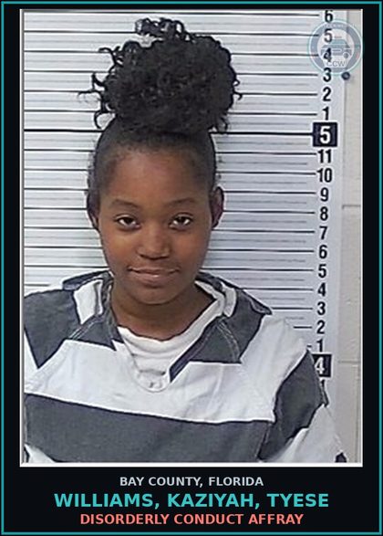CCW arrest card for WILLIAMS, KAZIYAH, TYESE in Bay County: DISORDERLY CONDUCT AFFRAY