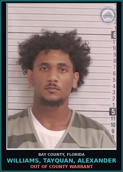 CCW arrest card for WILLIAMS, TAYQUAN, ALEXANDER in Bay County: OUT OF COUNTY WARRANT