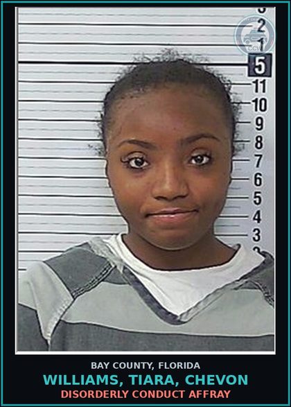 CCW arrest card for WILLIAMS, TIARA, CHEVON in Bay County: DISORDERLY CONDUCT AFFRAY