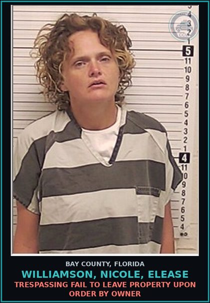 CCW arrest card for WILLIAMSON, NICOLE, ELEASE in Bay County: TRESPASSING FAIL TO LEAVE PROPERTY UPON ORDER BY OWNER