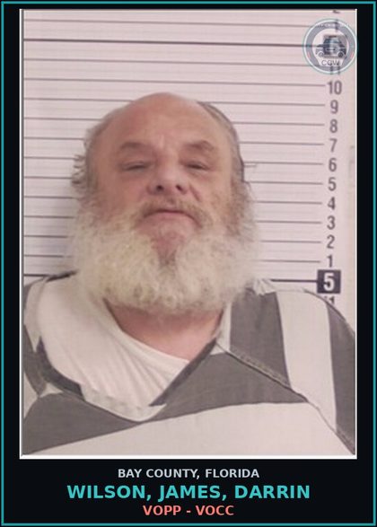 CCW arrest card for WILSON, JAMES, DARRIN in Bay County: VOPP - VOCC