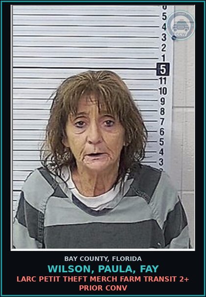 CCW arrest card for WILSON, PAULA, FAY in Bay County: LARC PETIT THEFT MERCH FARM TRANSIT 2+ PRIOR CONV