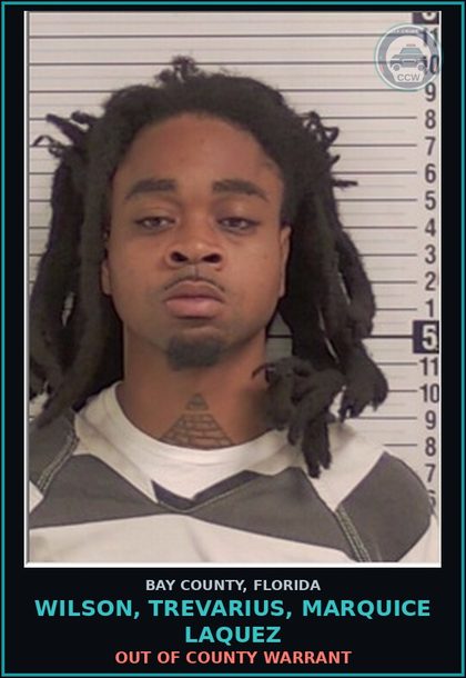 CCW arrest card for WILSON, TREVARIUS, MARQUICE LAQUEZ in Bay County: OUT OF COUNTY WARRANT