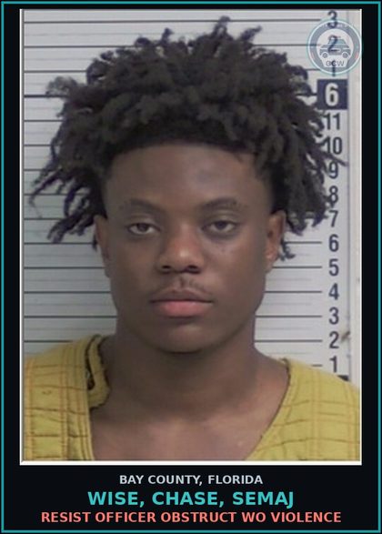 CCW arrest card for WISE, CHASE, SEMAJ in Bay County: FLEE/ELUDE POLICE FAIL TO OBEY LEO ORDER TO STOP