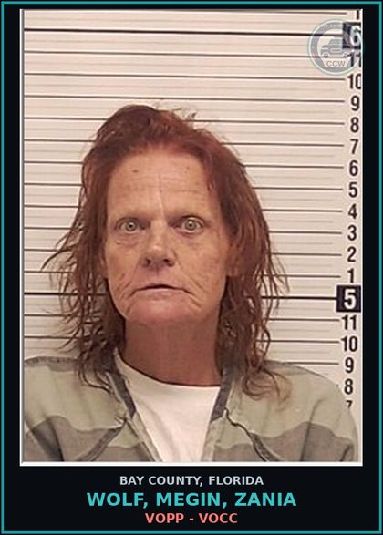 CCW arrest card for WOLF, MEGIN, ZANIA in Bay County: VOPP - VOCC