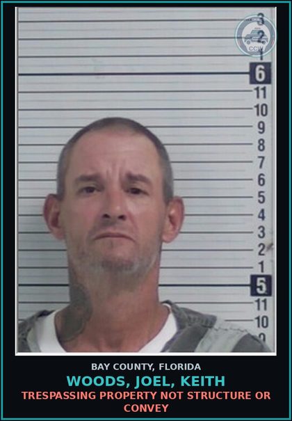 CCW arrest card for WOODS, JOEL, KEITH in Bay County: TRESPASSING PROPERTY NOT STRUCTURE OR CONVEY