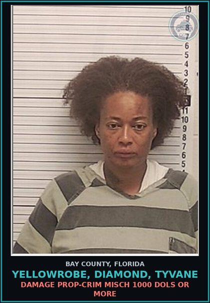 CCW arrest card for YELLOWROBE, DIAMOND, TYVANE in Bay County: DAMAGE PROP-CRIM MISCH 1000 DOLS OR MORE