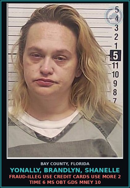 CCW arrest card for YONALLY, BRANDLYN, SHANELLE in Bay County: FRAUD-ILLEG USE CREDIT CARDS USE MORE 2 TIME 6 MS OBT GDS MNEY 10