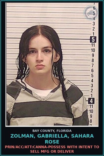 CCW arrest card for ZOLMAN, GABRIELLA, SAHARA ROSE in Bay County: PRIN/ACC/ATT:Canna-POSSESS WITH INTENT TO SELL MFG OR DELIVER