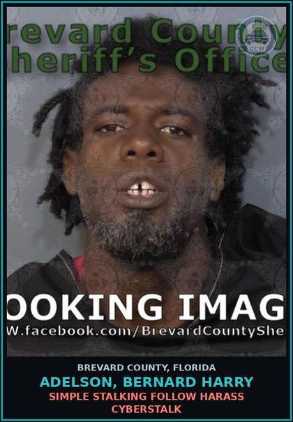 CCW arrest card for Adelson, Bernard Harry in Brevard County: Simple Stalking Follow Harass Cyberstalk