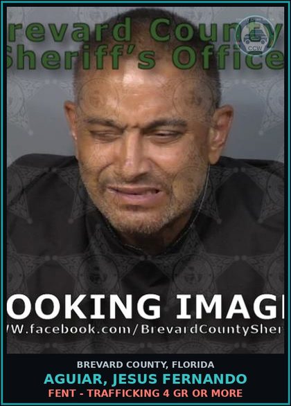 CCW arrest card for Aguiar, Jesus Fernando in Brevard County: Fent - Trafficking 4 Gr or more