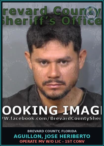 CCW arrest card for AGUILLON, JOSE HERIBERTO in Brevard County: Operate MV W/O Lic - 1st Conv