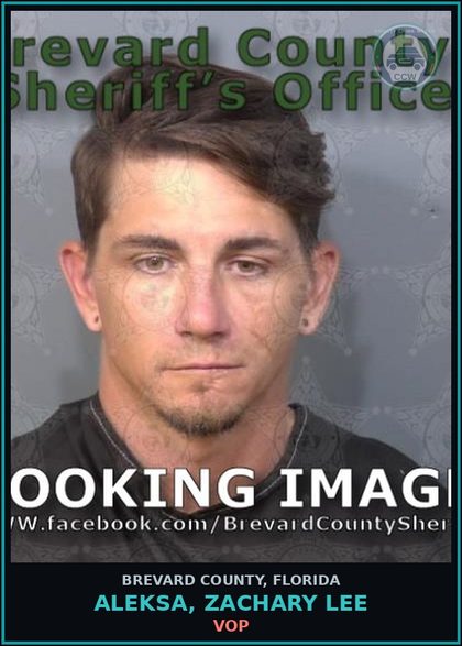 CCW arrest card for ALEKSA, ZACHARY LEE in Brevard County: VOP