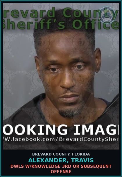 CCW arrest card for ALEXANDER, TRAVIS in Brevard County: DWLS W/Knowledge 3rd or Subsequent Offense