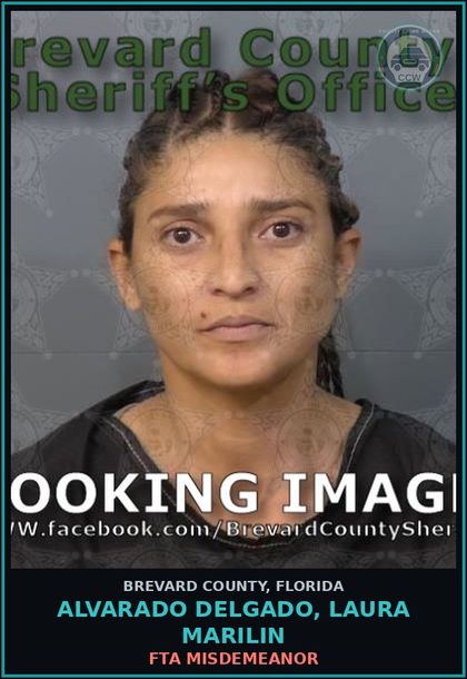 CCW arrest card for ALVARADO DELGADO, LAURA MARILIN in Brevard County: Operate MV W/O Lic - 1st Conv