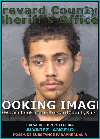 CCW arrest card for Alvarez, Angelo in Brevard County: Poss/Use Drug Paraphernalia