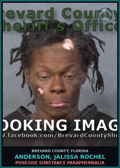 CCW arrest card for ANDERSON, JALISSA ROCHEL in Brevard County: Poss/Use Drug Paraphernalia
