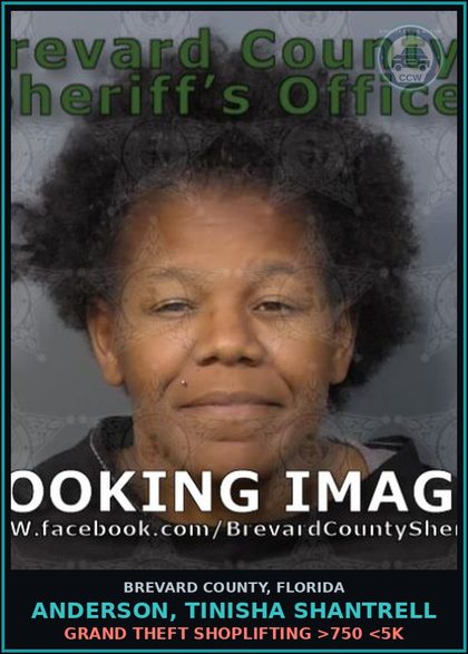 CCW arrest card for ANDERSON, TINISHA SHANTRELL in Brevard County: Grand Theft Shoplifting >750 <5K