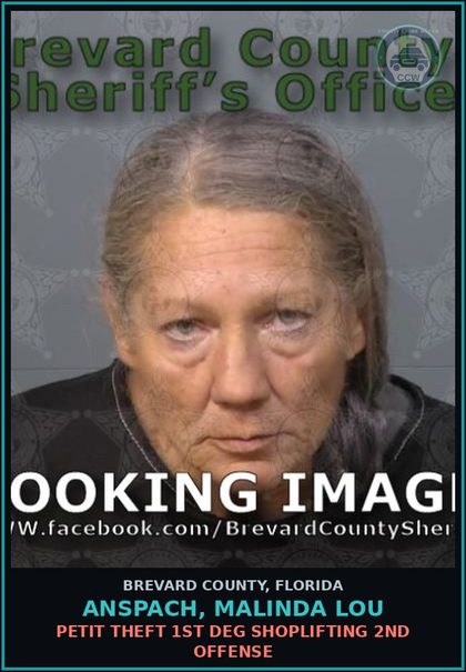 CCW arrest card for ANSPACH, MALINDA LOU in Brevard County: Petit Theft 1st Deg Shoplifting 2nd Offense