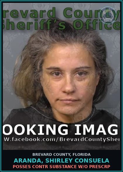 CCW arrest card for ARANDA, SHIRLEY CONSUELA in Brevard County: Posses contr substance w/o Prescription